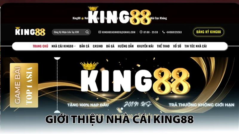 TRANG CHỦ 31 King88 – Nhà cái cá cược trực tuyến Châu Á