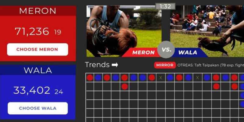 Cá cược đá gà trực tuyến minh bạch, an toàn